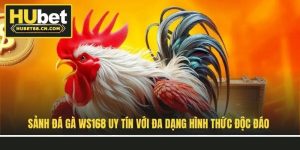 sanh-da-ga-ws168-uy-tin-voi-da-dang-hinh-thuc-doc-dao